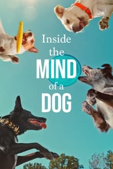 Watch Inside the Mind of a Dog (2024) Online Full Movie Free