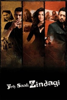Watch Yeh Saali Zindagi (2011) Online Full Movie Free